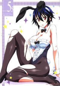 (csp6) [project Harakiri (kaishaku)] Nisenisekoi 5...