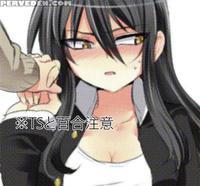 (pixiv) [takashi] Ts Boyfriend And The Bi Girlfrie...