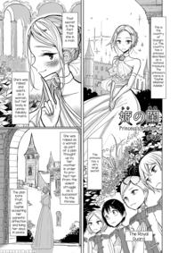 [dhibi] Hime No Neya -princess's Bedroom- (otokonoko Heaven Vol. 31) [english] [mysterymeat3] [digital]