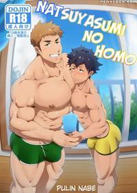 [pulin Nabe (kakenari)] Natsuyasumi No Homo [english] [digital]