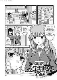[satomi Hidefumi] Ojousama Fukukaichou No Junan (h...