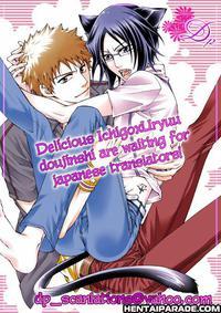 Bleach Dj - Dormer Errant
