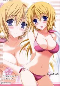 Can't Stop Loving You - Infinite Stratos