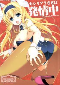 Cecilia Usagi Wa Hatsujou Chuu - Infinite Stratos