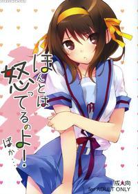 I Really Am Angry! Idiot... - The Melancholy Of Haruhi Suzumiya