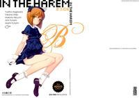 In The Harem - B Side