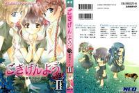 Maria-sama Ga Miteru Dj - Sei's Diary