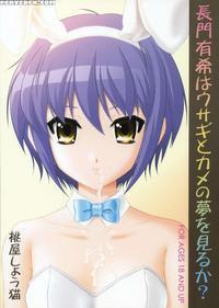 Nagato Yuki Wa Usagi To Kame No Yume Wo Miru Ka?