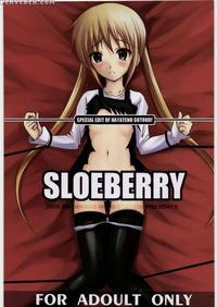 Sloeberry