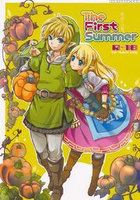 The First Summer - The Legend Of Zelda: Skyward Swordthe Legend Of Zelda