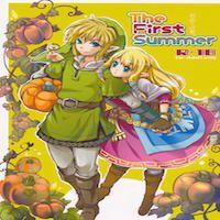Legend Of Zelda Dj - The First Summer