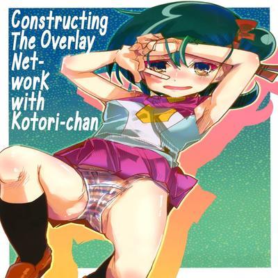 Network Wo Kouchiku Shite Kotori-chan To Gattai Suru Hon
