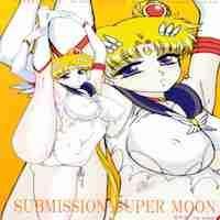 Sailor Moon Dj - Submission-super Moon