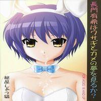 The Melancholy Of Haruhi Suzumiya Dj - Nagato Yuki Wa Usagi To Kame No Yume Wo Miru Ka?
