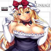 Touhou Dj - Linkage
