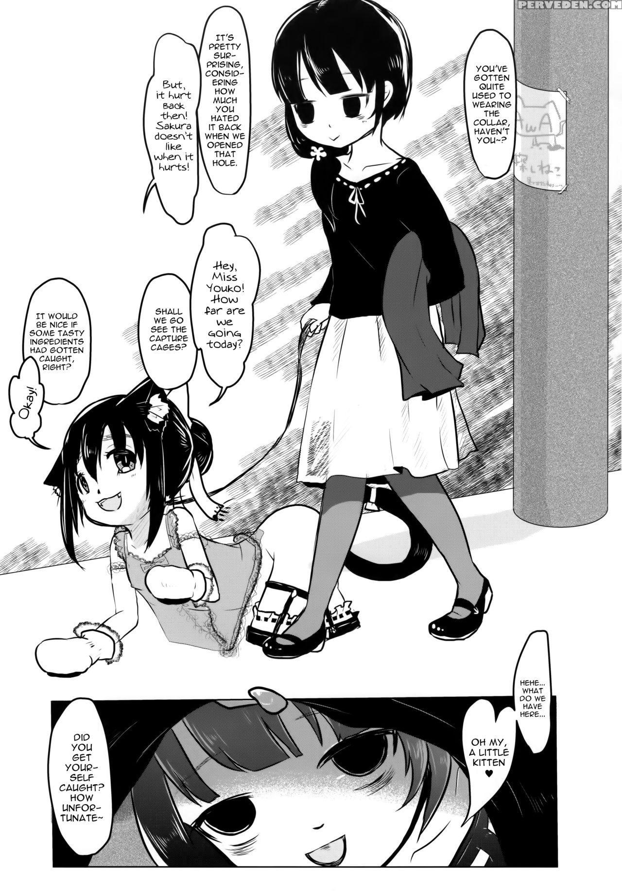(abnormal Comic Day! 2) [dennou Chocolate (awa)] Nekokan! Meshimase | Canned Catfood! Please Try It [english] [atf] 1