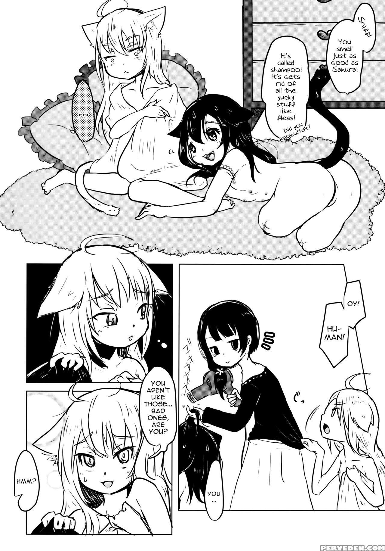 (abnormal Comic Day! 2) [dennou Chocolate (awa)] Nekokan! Meshimase | Canned Catfood! Please Try It [english] [atf] 1