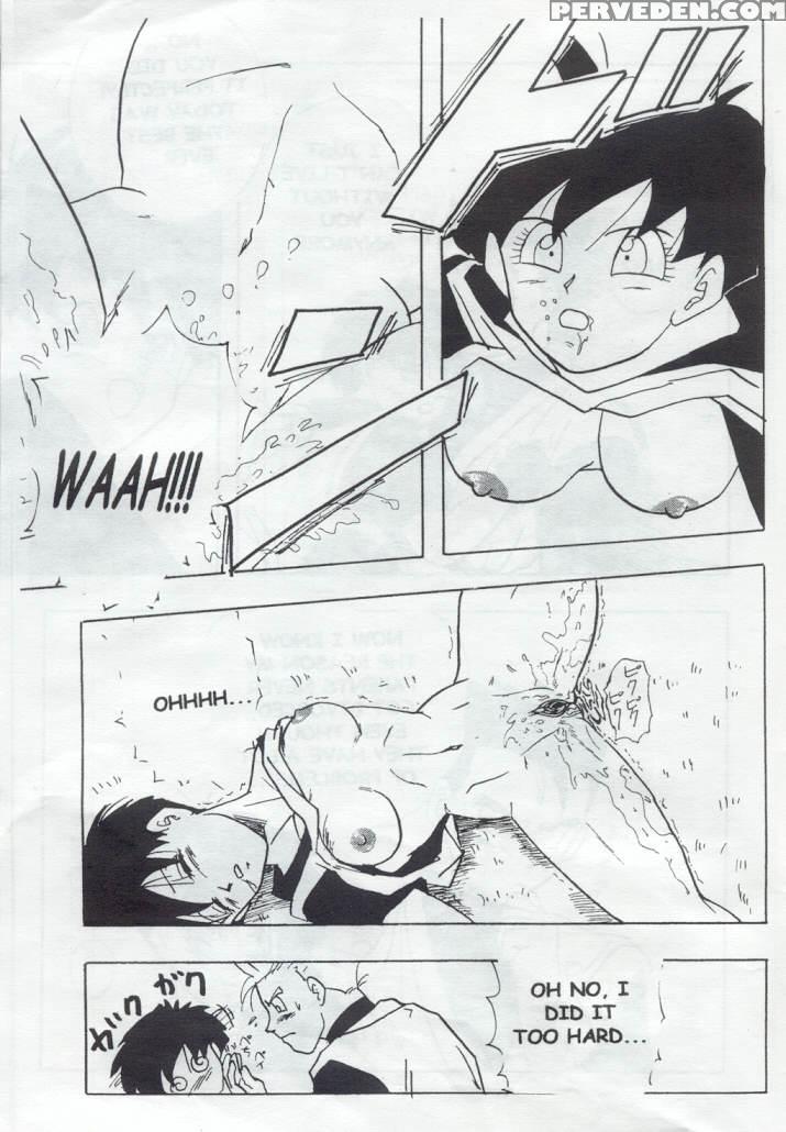 (c44) [chirigami Goya, Fusuma Go Ten (shoji Hariko)] Xx (dragon Ball Z) [english] 1