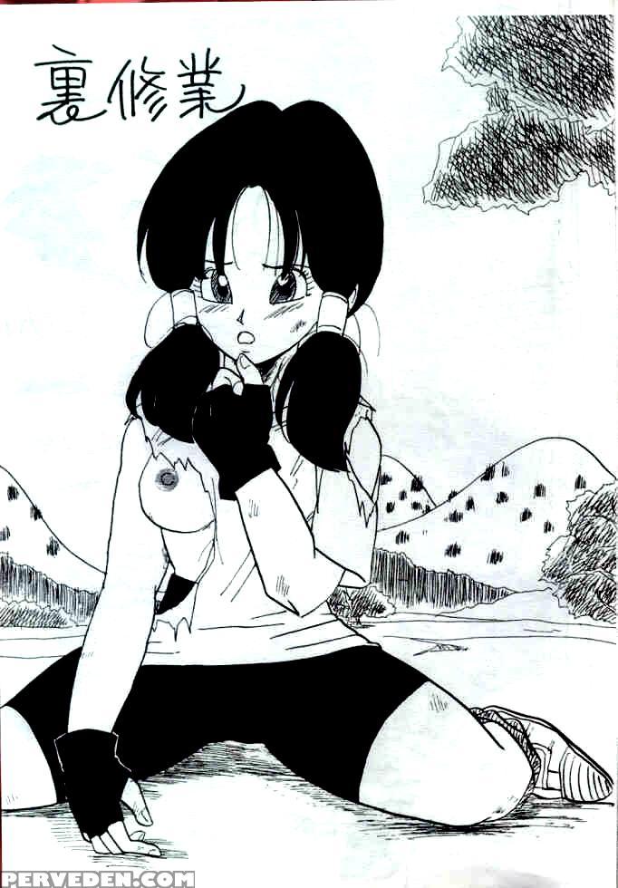 (c44) [chirigami Goya, Fusuma Go Ten (shoji Hariko)] Xx (dragon Ball Z) [english] 1