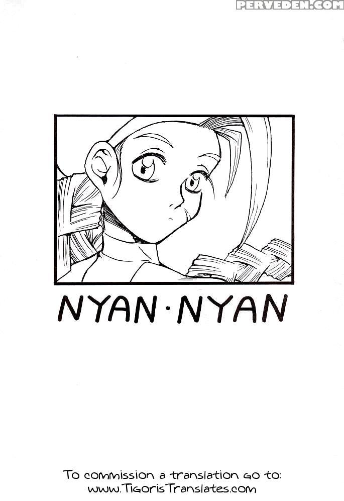 (c48) [dengana (doluta Ibashi, Nishimo)] Nyan Nyan (street Fighter) [english] [tigoris Translates] 1