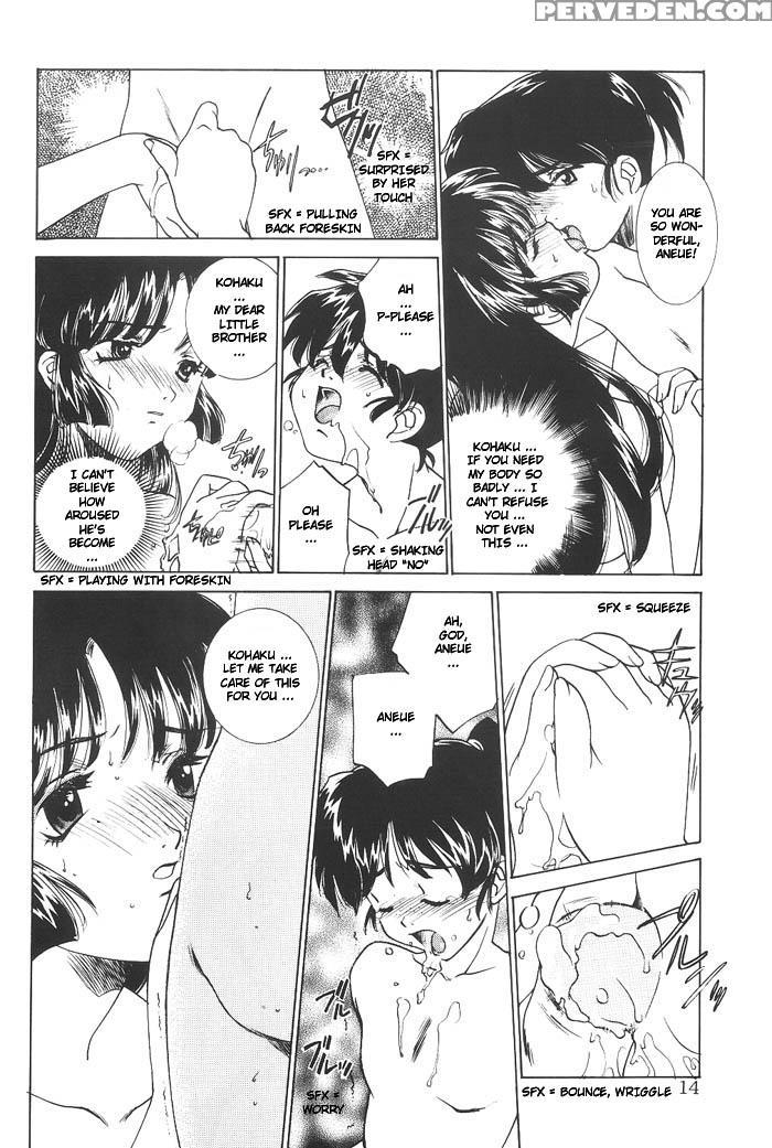 (c63) [applesauce (sada Ko-ji)] Mugen Jouya | Night-long Fantasy (inuyasha) [english] [ferabi] 1