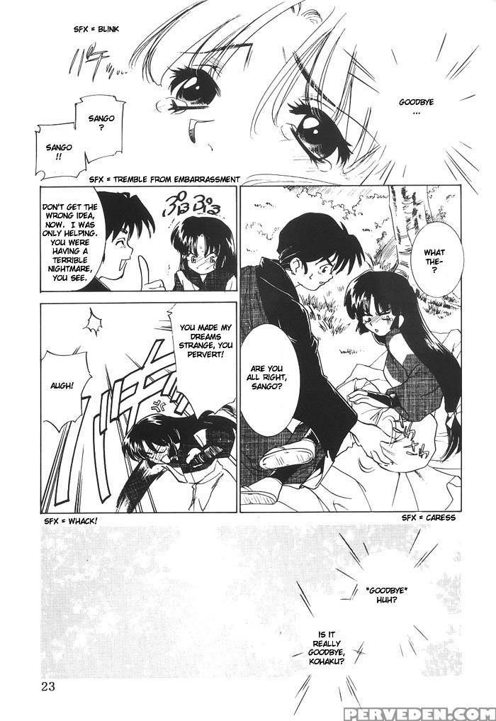 (c63) [applesauce (sada Ko-ji)] Mugen Jouya | Night-long Fantasy (inuyasha) [english] [ferabi] 1