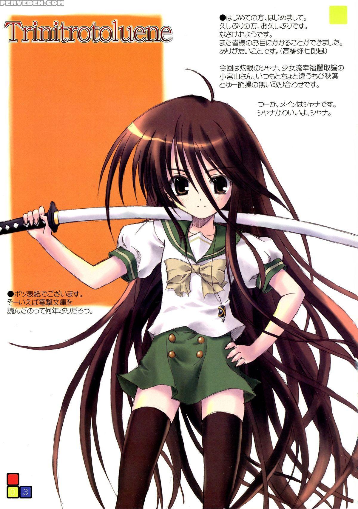 (c66) [zangyaku Koui Teate (nasake Muyou)] Trinitrotoluene (shakugan No Shana) [english] 1