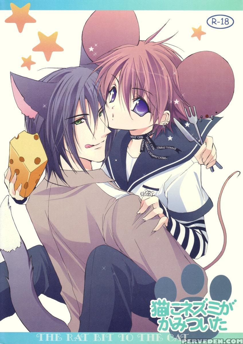 (c70) [kurikoya (hiyoshimaru Akira)] Neko Ni Nezumi Ga Kamitsuita - The Rat Bit To The Cat. (tom And Jerry) [english] 1