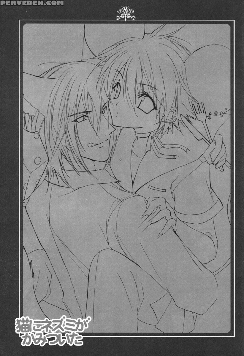 (c70) [kurikoya (hiyoshimaru Akira)] Neko Ni Nezumi Ga Kamitsuita - The Rat Bit To The Cat. (tom And Jerry) [english] 1