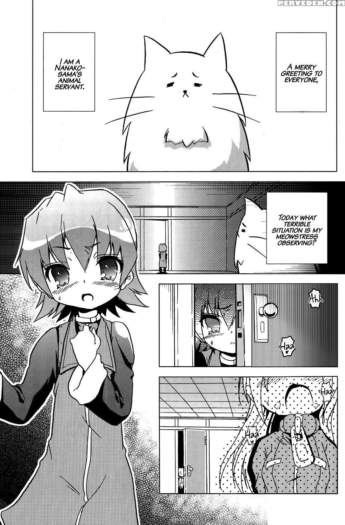 (c72) [web Knight (naitou Satoshi)] Tsundere Seven 21 (suguri) [english] 1