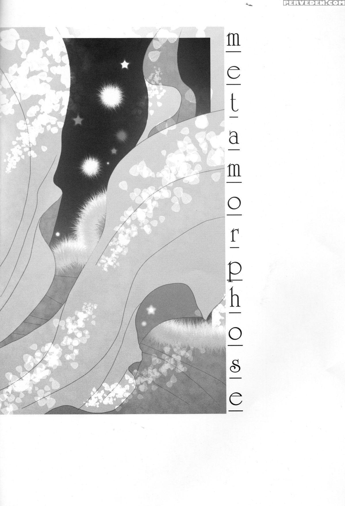 (c73) [usapyon (kashidashi Rie)] Metamorphose (yu-gi-oh!) [english] [tigoris] 1