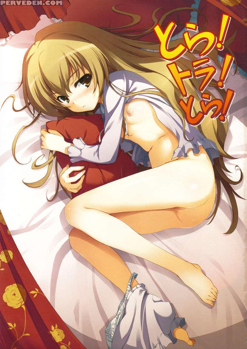 (c75) [mugenkidou A (tomose Shunsaku)] Tora! Tora! Tora! (toradora!) [english] 1