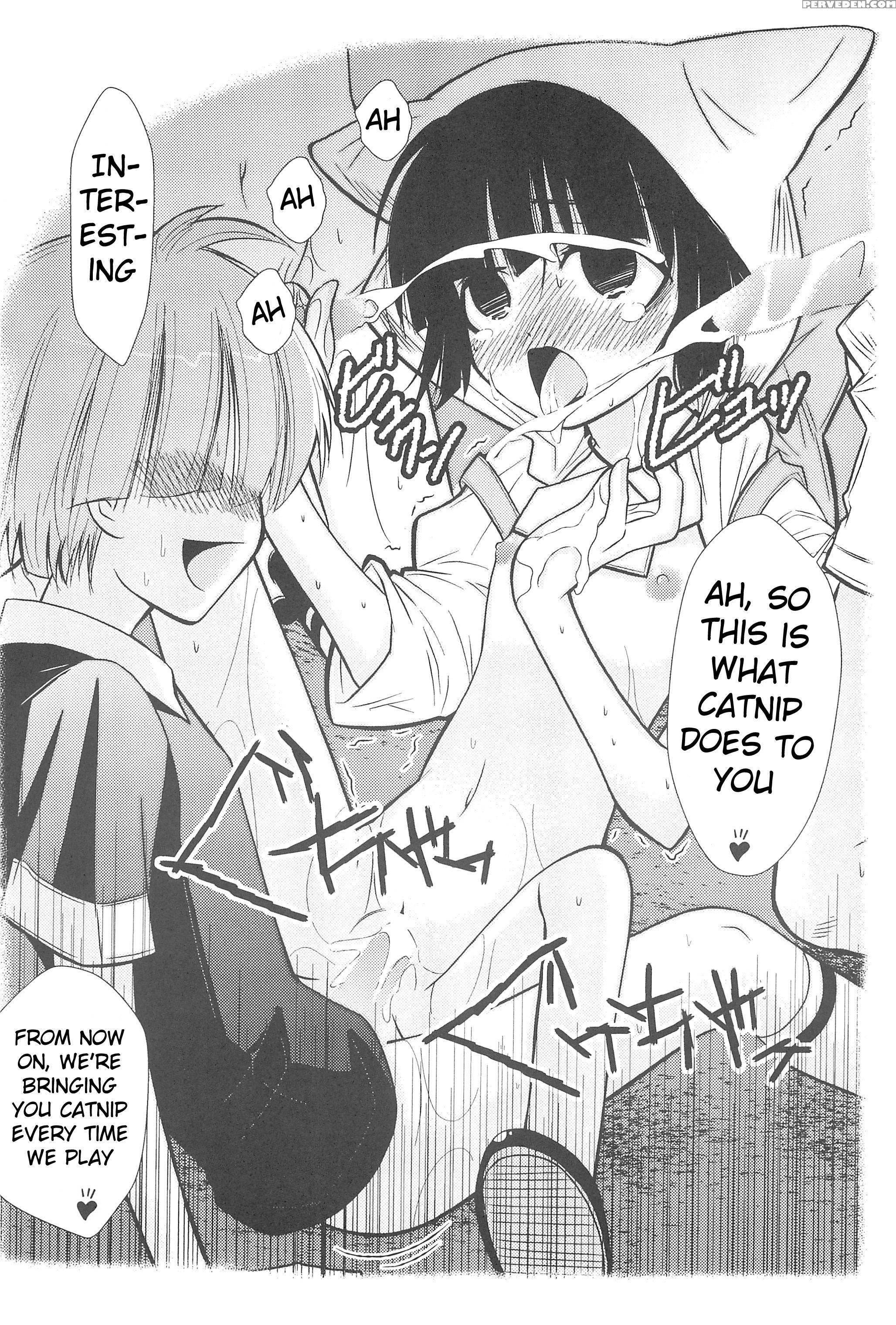 (c78) [ashinoie (tariru)] Hinnyuu Musume 23 (neko Wappa!) [english] [atf] 1