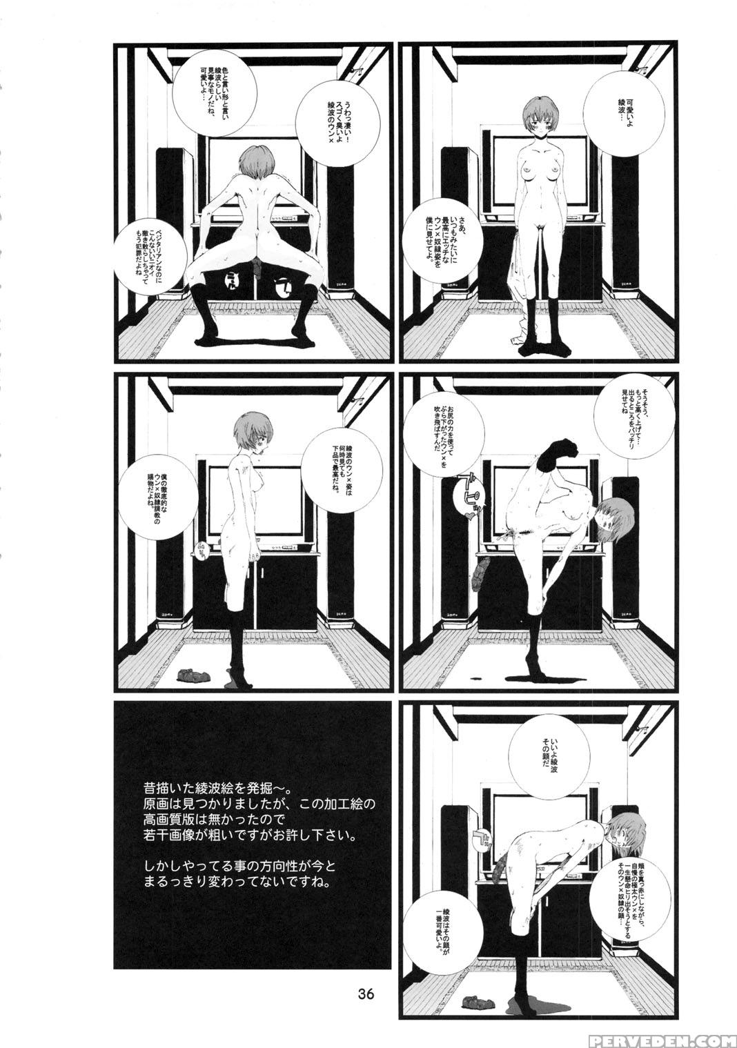 (c79) [combat Mon-mon (hiratsura Masaru)] Ayanami (neon Genesis Evangelion) [english] [brolen] 1