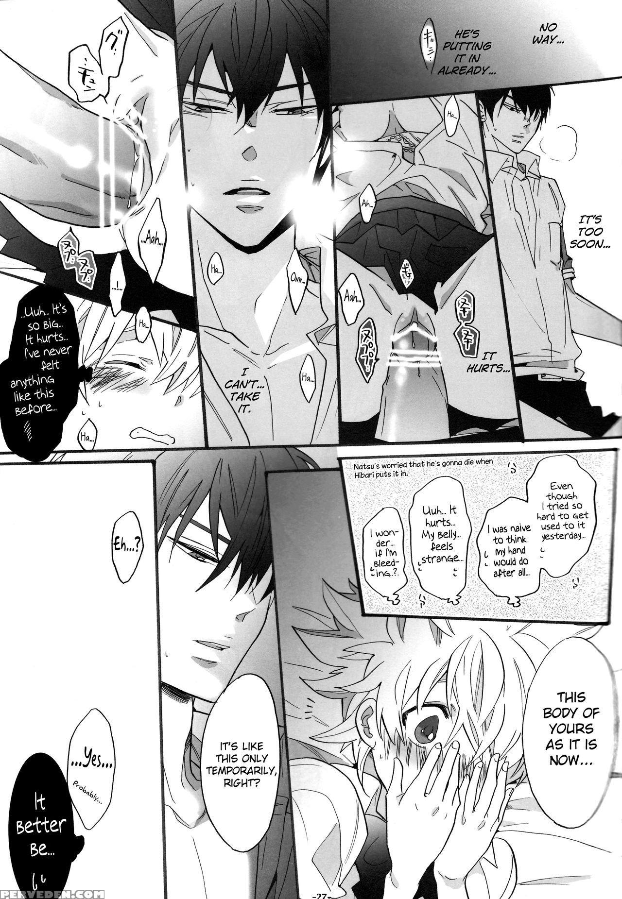 (c80) [7menzippo (kamishima Akira)] Nyota Tsuna Nikki (katekyo Hitman Reborn!) [english] [biribiri] 1