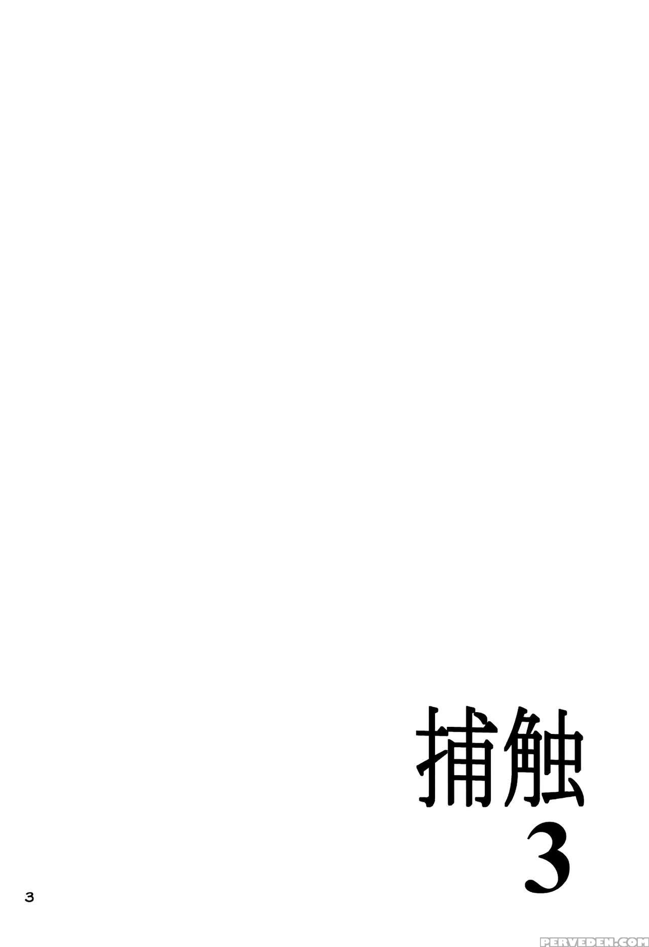 (c81) [al Dente (tsuna)] Hoshoku 3 [english] [atf] 1
