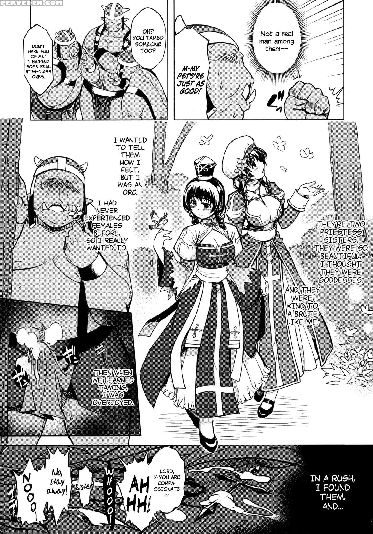 (c82) [xration (mil)] Hime Kishi Tame 2 | Princess Knight Taming 2 (ragnarok Online) [english] [decensored] 1