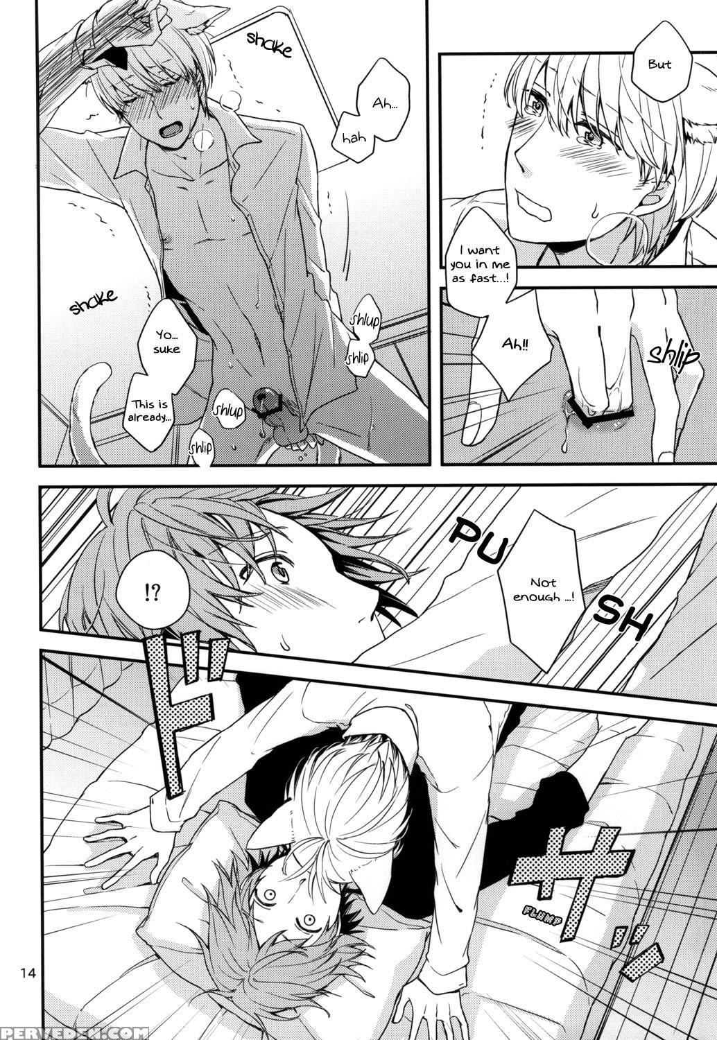 (c83) [swallow Sky (rihara) Crazy Cat Lover (persona 4) [english] 1