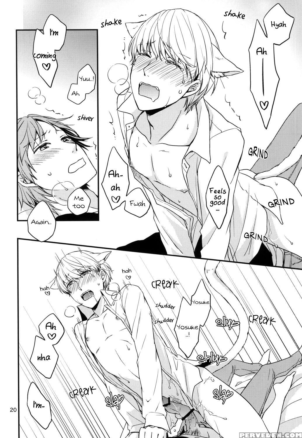 (c83) [swallow Sky (rihara) Crazy Cat Lover (persona 4) [english] 1