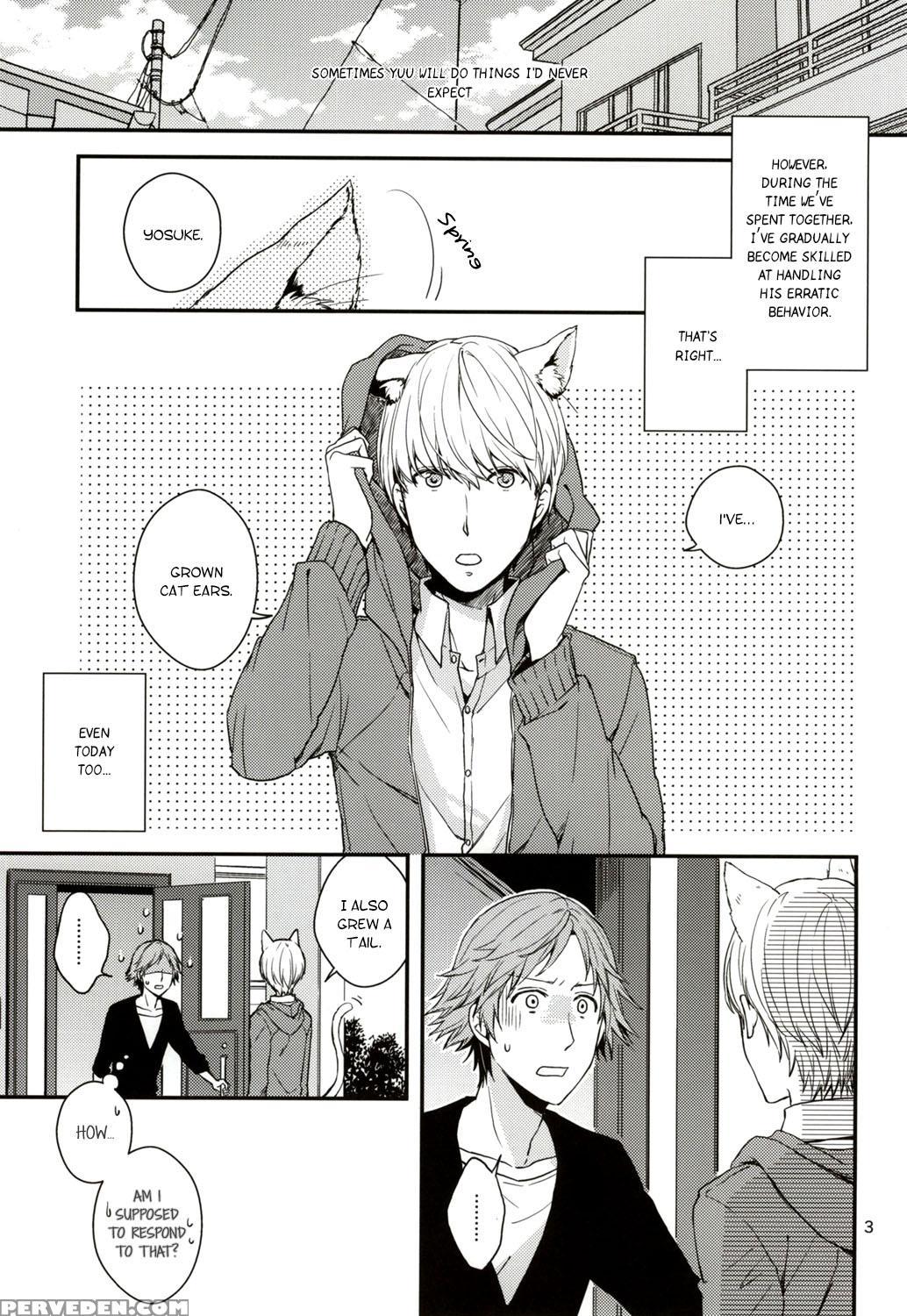 (c83) [swallow Sky (rihara) Crazy Cat Lover (persona 4) [english] 1