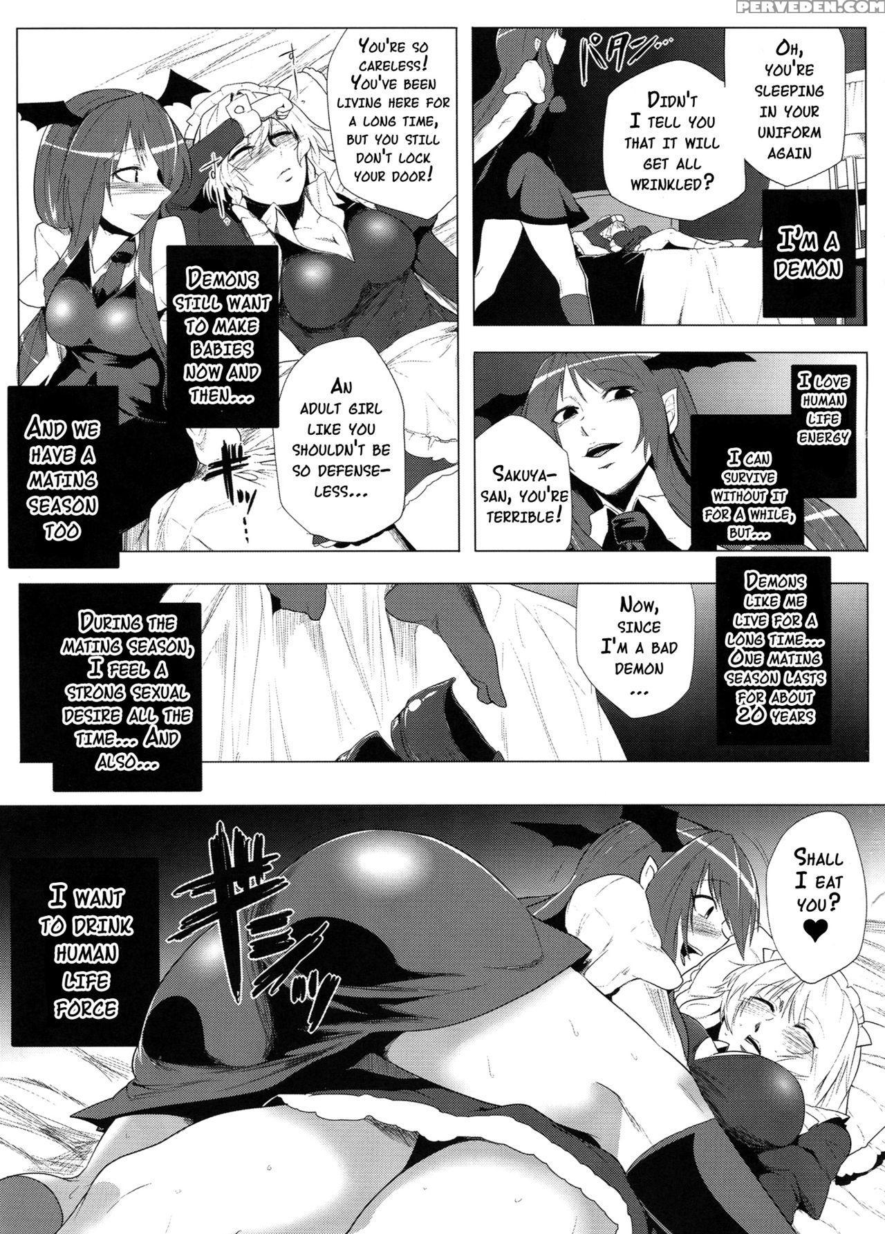 (c83) [totsugasa (sagattoru)] The Beginning Of The End Of Eternity (touhou Project) [english] {doujins.com} Chapter 1 Page 8
