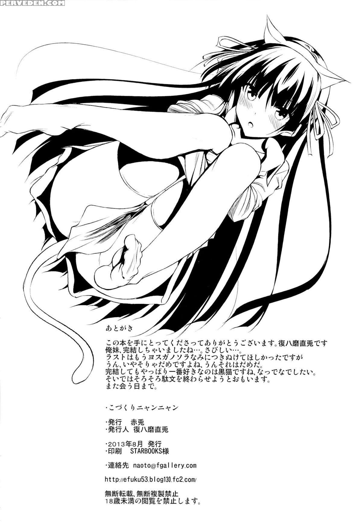 (c84) [akausagi (fukuyama Naoto)] Childmaking Nyannyan (ore No Imouto Ga Konna Ni Kawaii Wake Ga Nai) [english] [dra12345] 1
