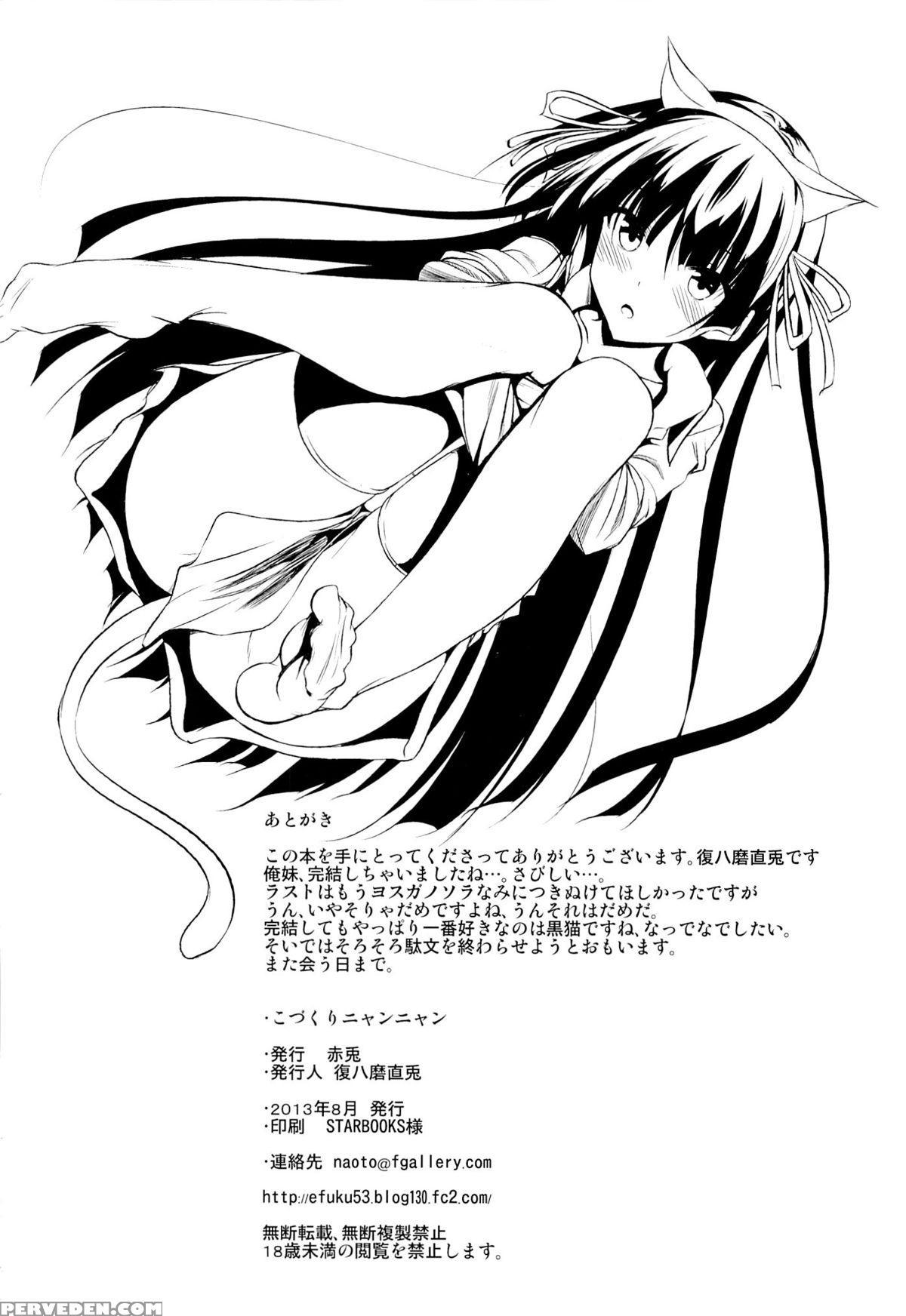 (c84) [akausagi (fukuyama Naoto)] Childmaking Nyannyan (ore No Imouto Ga Konna Ni Kawaii Wake Ga Nai) [english] 1