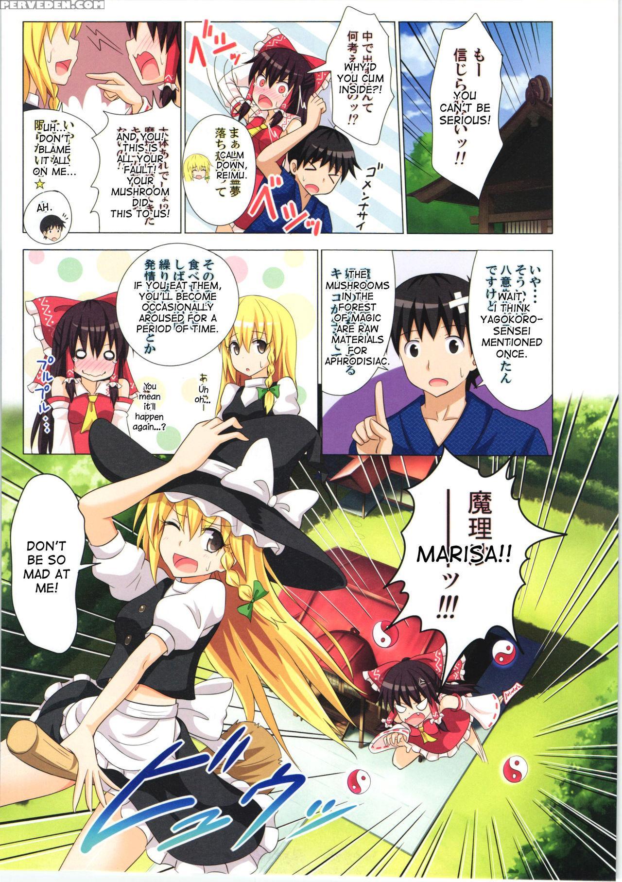 (c84) [kamikadou (ginyou Haru)] Gensoukyou Rakuenka Keikaku 10 (touhou Project) [english] [desudesu] 1