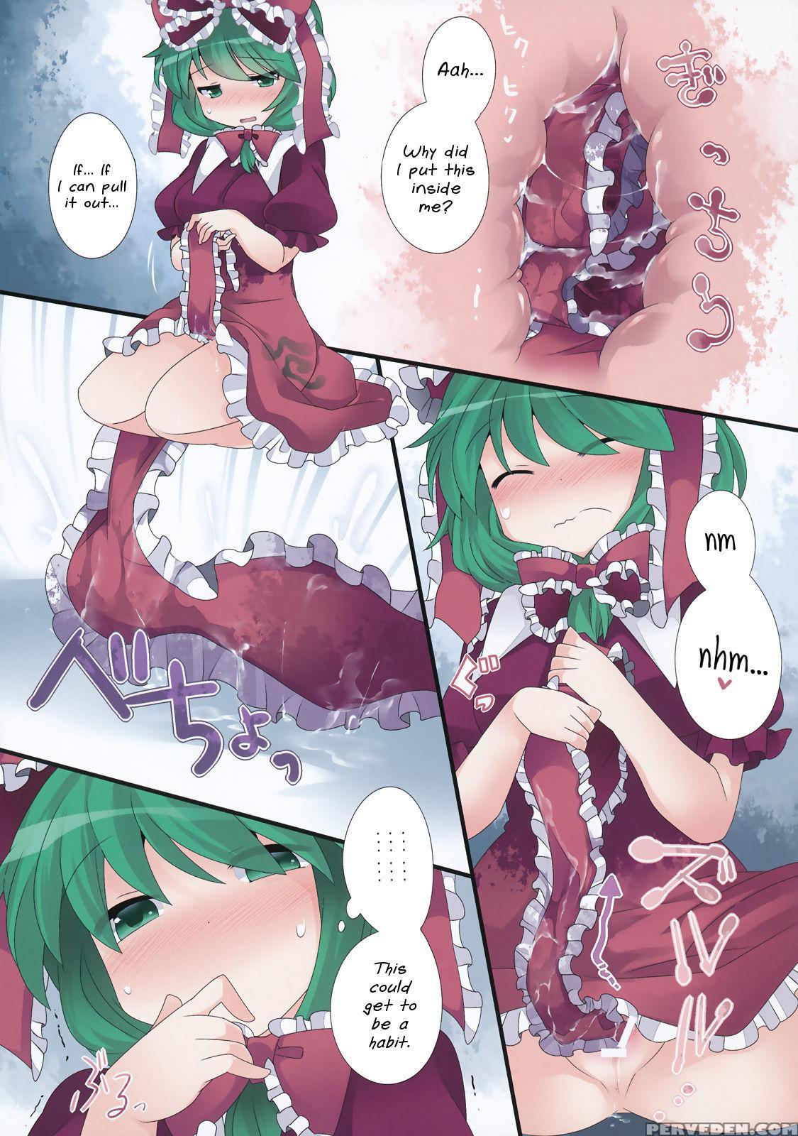 (c84) [sunset Beach (hammer)] Hitori Asobi Gensou (touhou Project) [english] 1