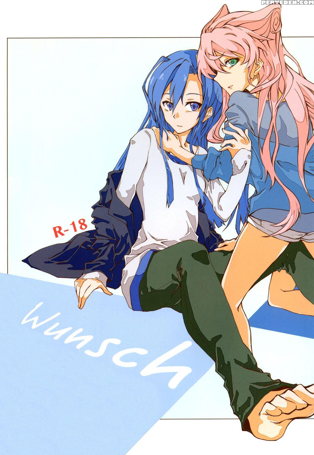 (c85) [hb (futoo)] Wunsch (senki Zesshou Symphogear) [english] {halcyonvalor & Sexy Akiba Detectives} Chapter 1 Page 1