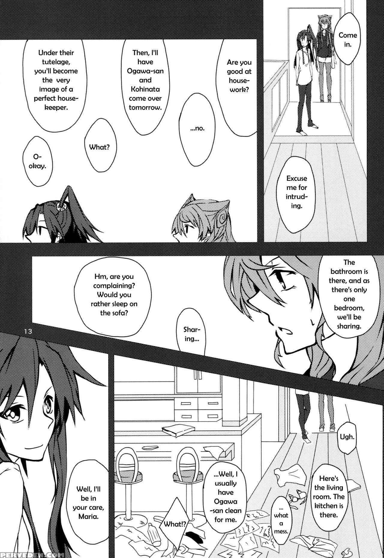 (c85) [hb (futoo)] Wunsch (senki Zesshou Symphogear) [english] {halcyonvalor & Sexy Akiba Detectives} Chapter 1 Page 13