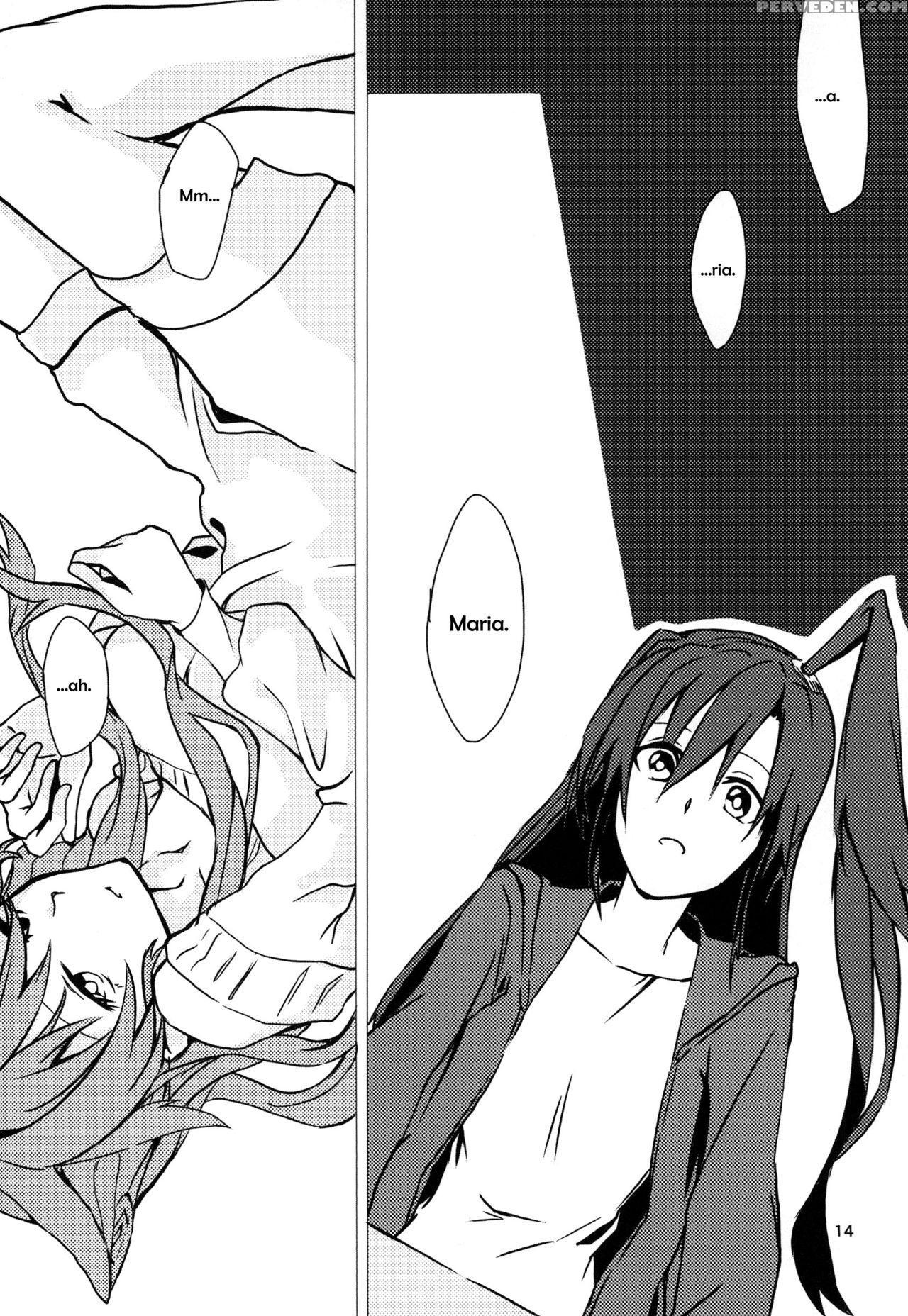 (c85) [hb (futoo)] Wunsch (senki Zesshou Symphogear) [english] {halcyonvalor & Sexy Akiba Detectives} Chapter 1 Page 14