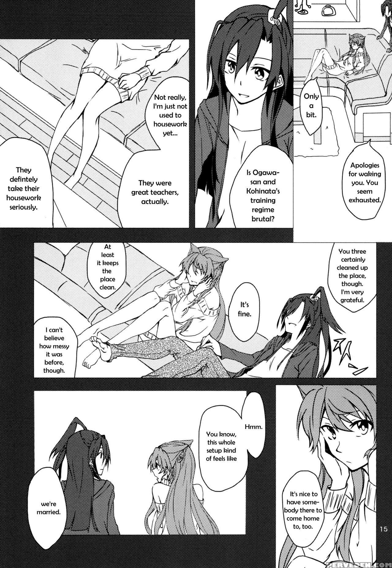 (c85) [hb (futoo)] Wunsch (senki Zesshou Symphogear) [english] {halcyonvalor & Sexy Akiba Detectives} Chapter 1 Page 15