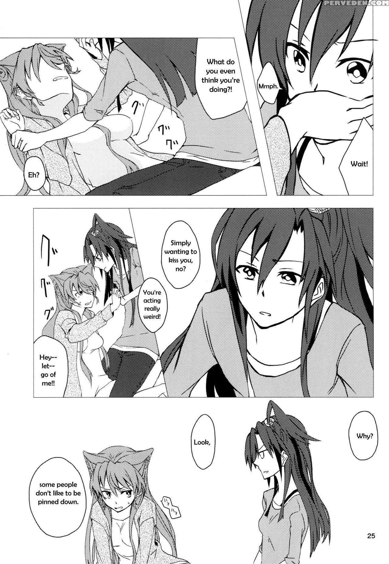 (c85) [hb (futoo)] Wunsch (senki Zesshou Symphogear) [english] {halcyonvalor & Sexy Akiba Detectives} Chapter 1 Page 25